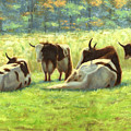 Yaks